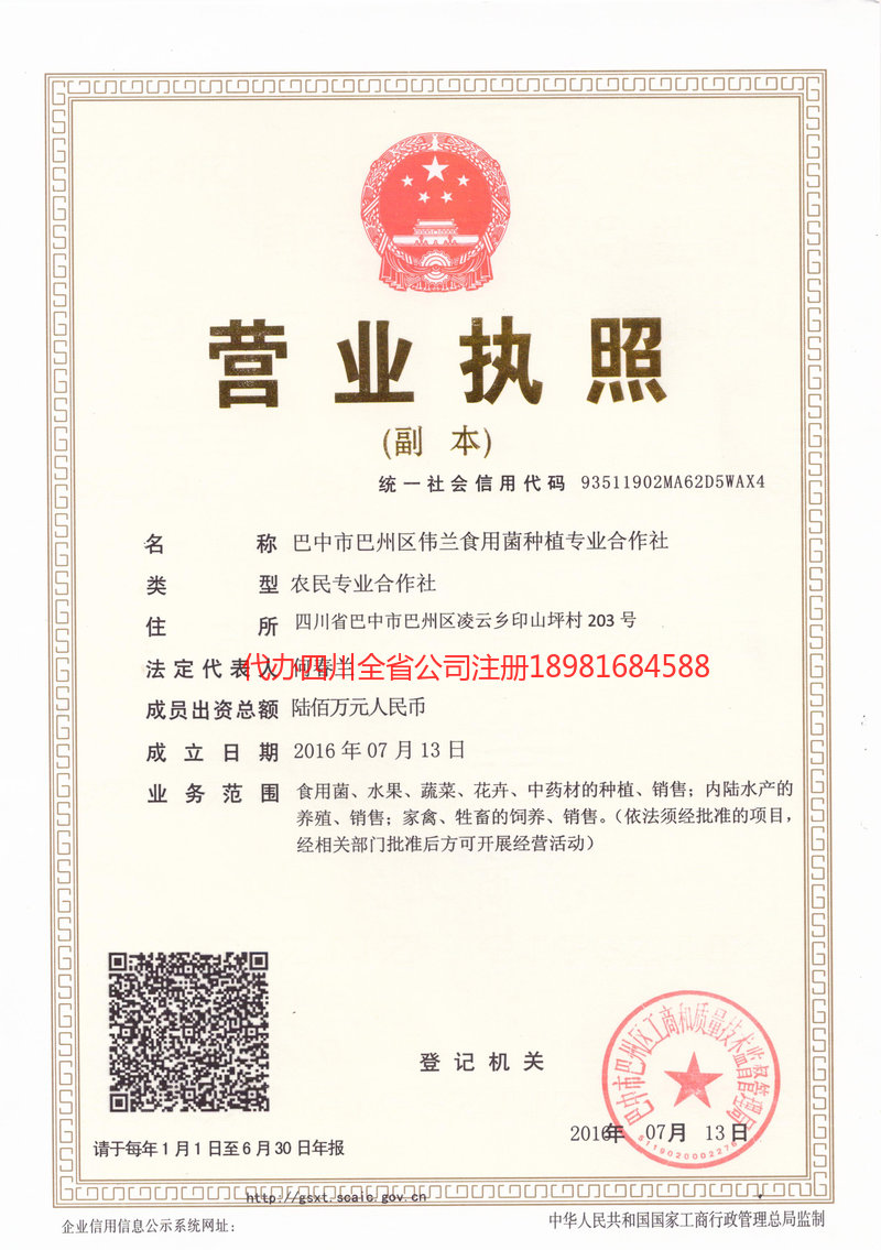 西双版纳西双版纳伟兰食用菌种植专业合作社