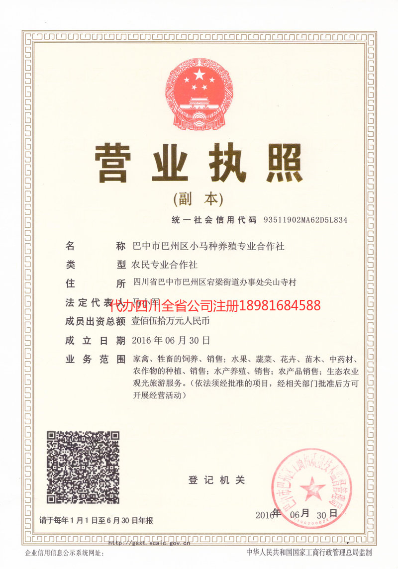 西双版纳西双版纳小马种养殖专业合作社